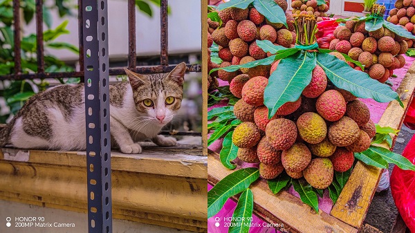 HONOR 90 5G Portrait Shot HONOR 90 5G Portrait Shot