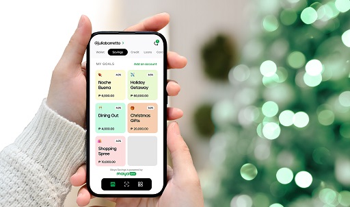 Maya Holiday Spending